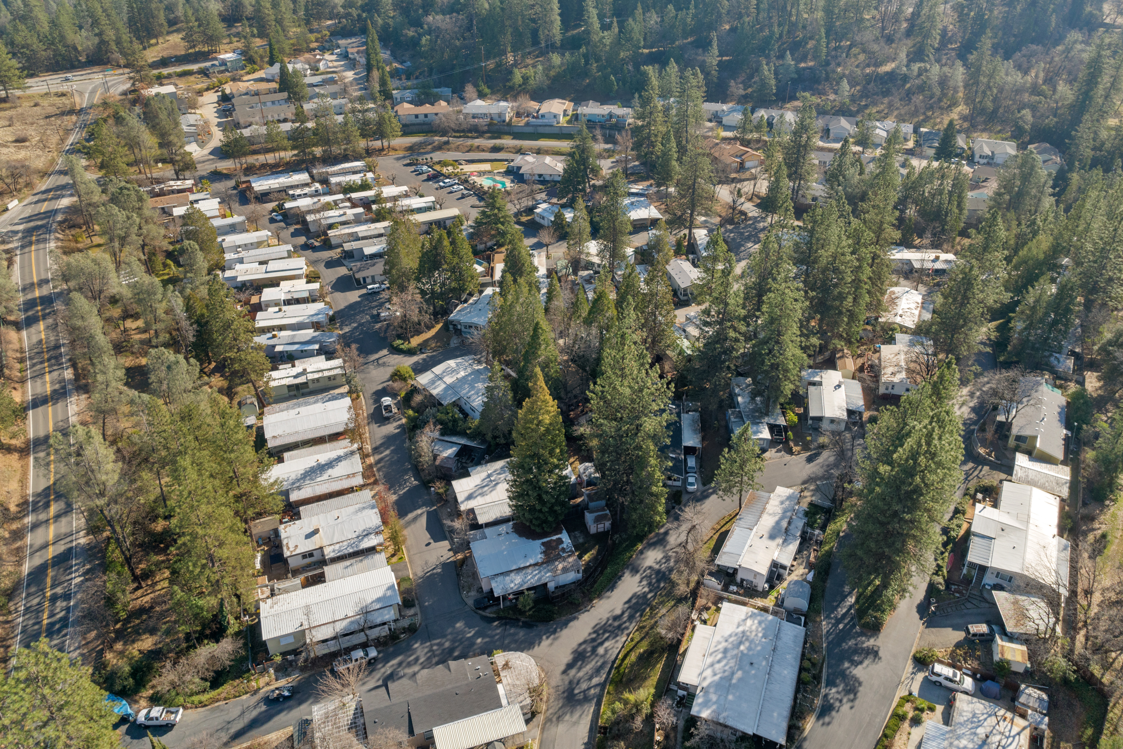 Aerial view of a wooded CRI community among pines